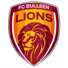 FC Bulleen Lions(U23)